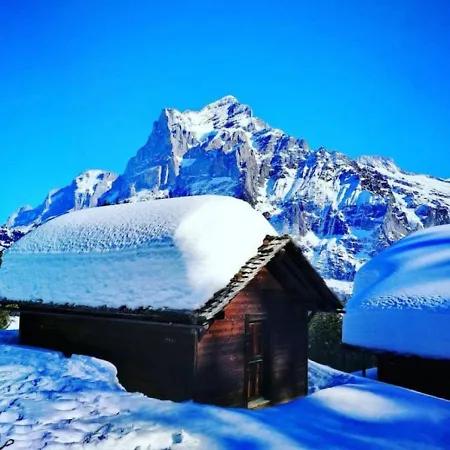 Thun Alps Scenic Views And Concierge By Swisshut سيغريسويل