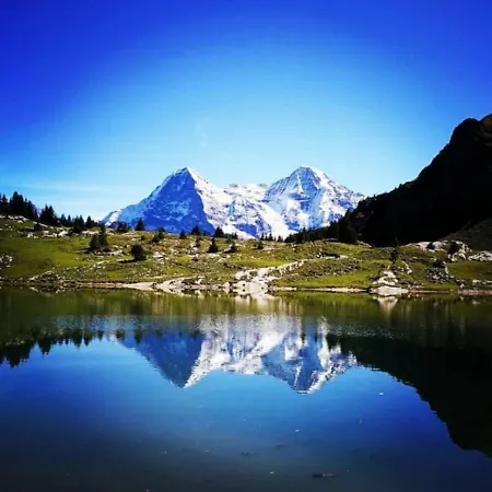 Swisshut Stunning Views Alps - Apart. Herzog 22 Holiday home Sigriswil