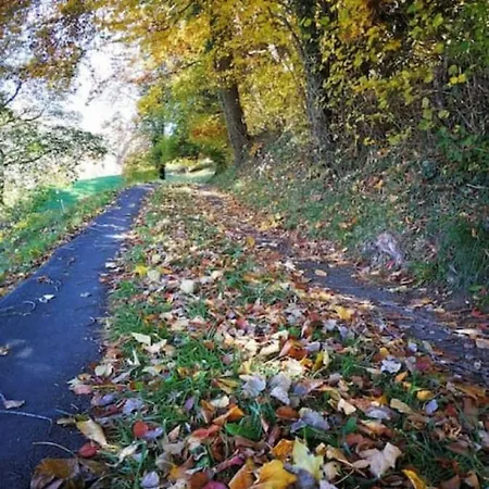 Thun Alps Scenic Views And Concierge By Swisshut بيت للعطل