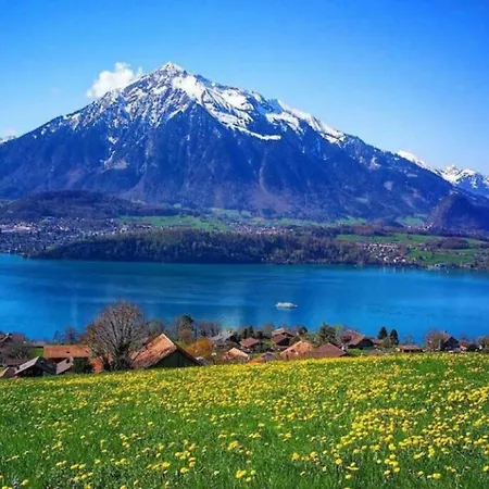 Lake Thun Alps Scenic Views And Concierge By Swisshut Сasa de vacaciones *