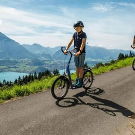 Thun Alps Scenic Views And Concierge By Swisshut Casa de férias Sigriswil