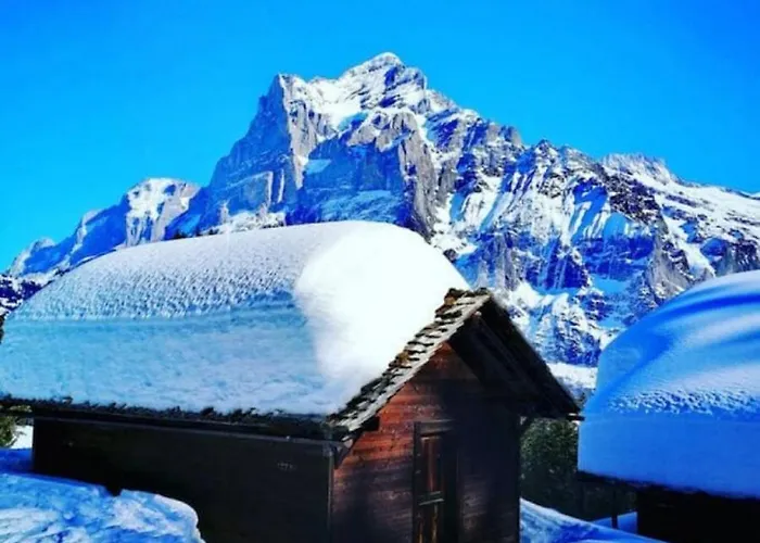 Thun Alps Scenic Views And Concierge By Swisshut Sigriswil
