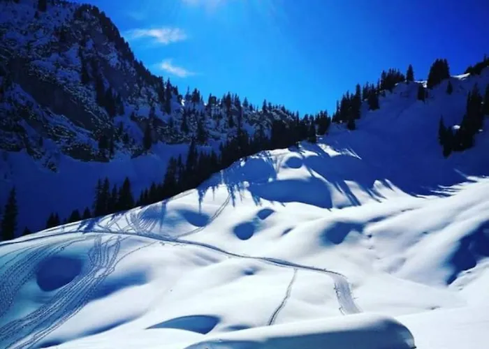 Thun Alps Scenic Views And Concierge By Swisshut Hébergement de vacances