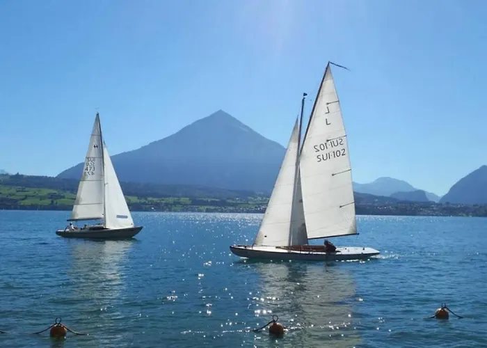 Thun Alps Scenic Views And Concierge By Swisshut Hébergement de vacances *