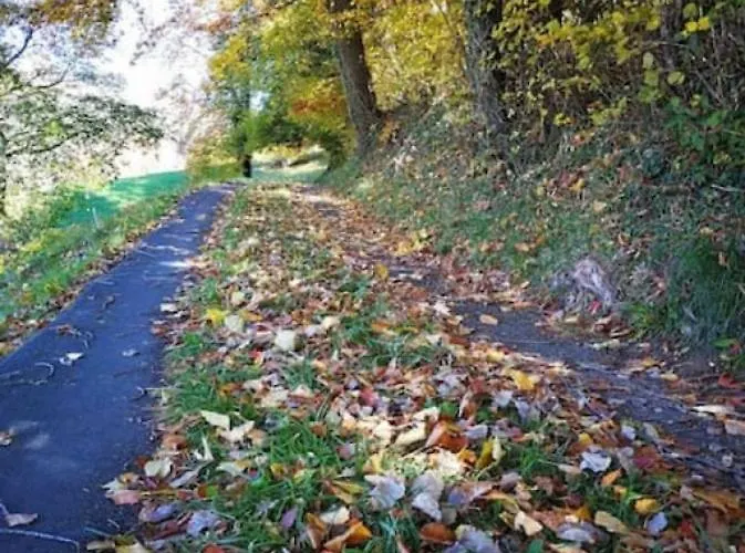 Thun Alps Scenic Views And Concierge By Swisshut Feriehus